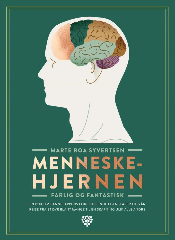 Menneskehjernen: farlig og fantastisk Bonnier Norsk Forlag AS