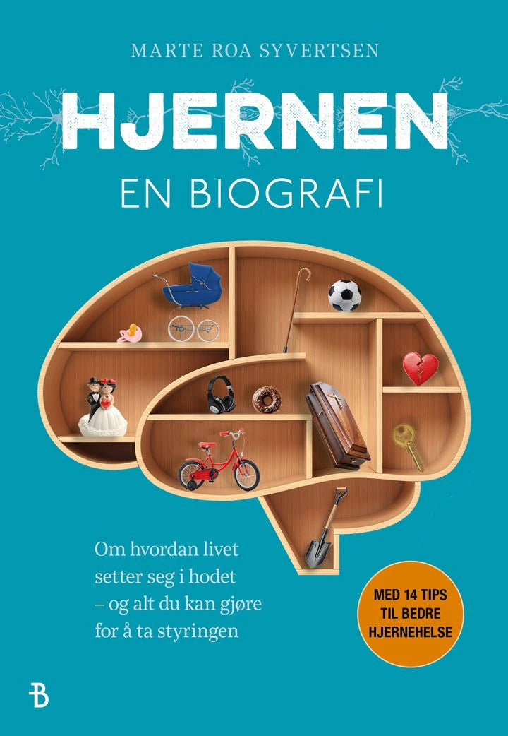 Hjernen: en biografi : om hvordan livet setter seg i hodet – og alt du kan gjøre for å ta styringen Bonnier Norsk Forlag AS