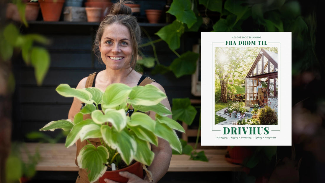 Gjør drømmen til virkelighet