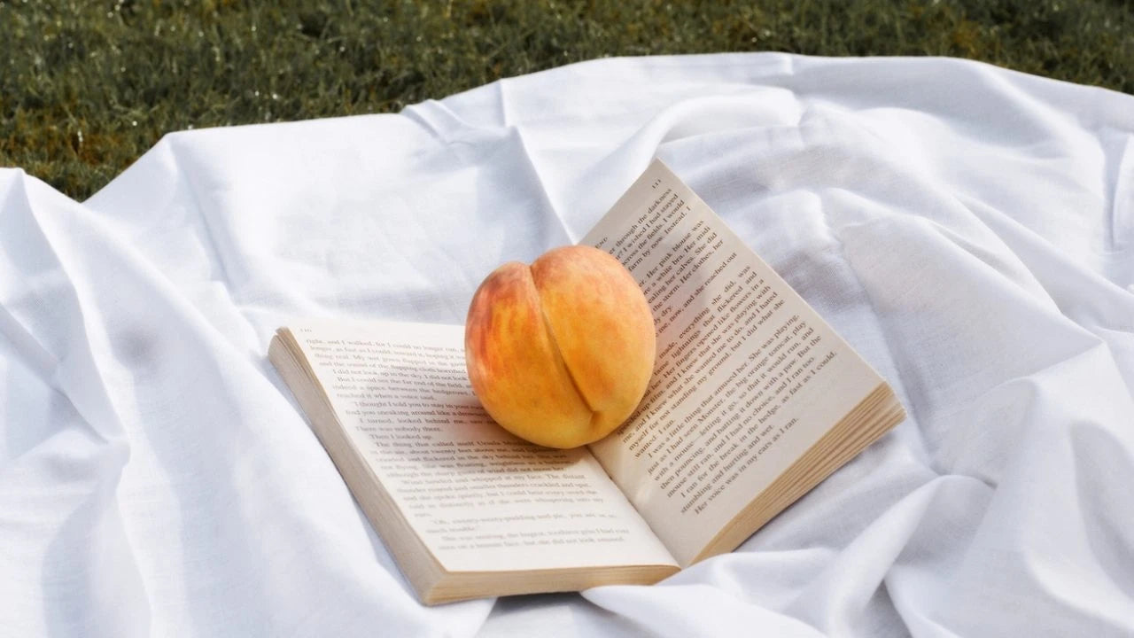 Anbefalte pocketnyheter