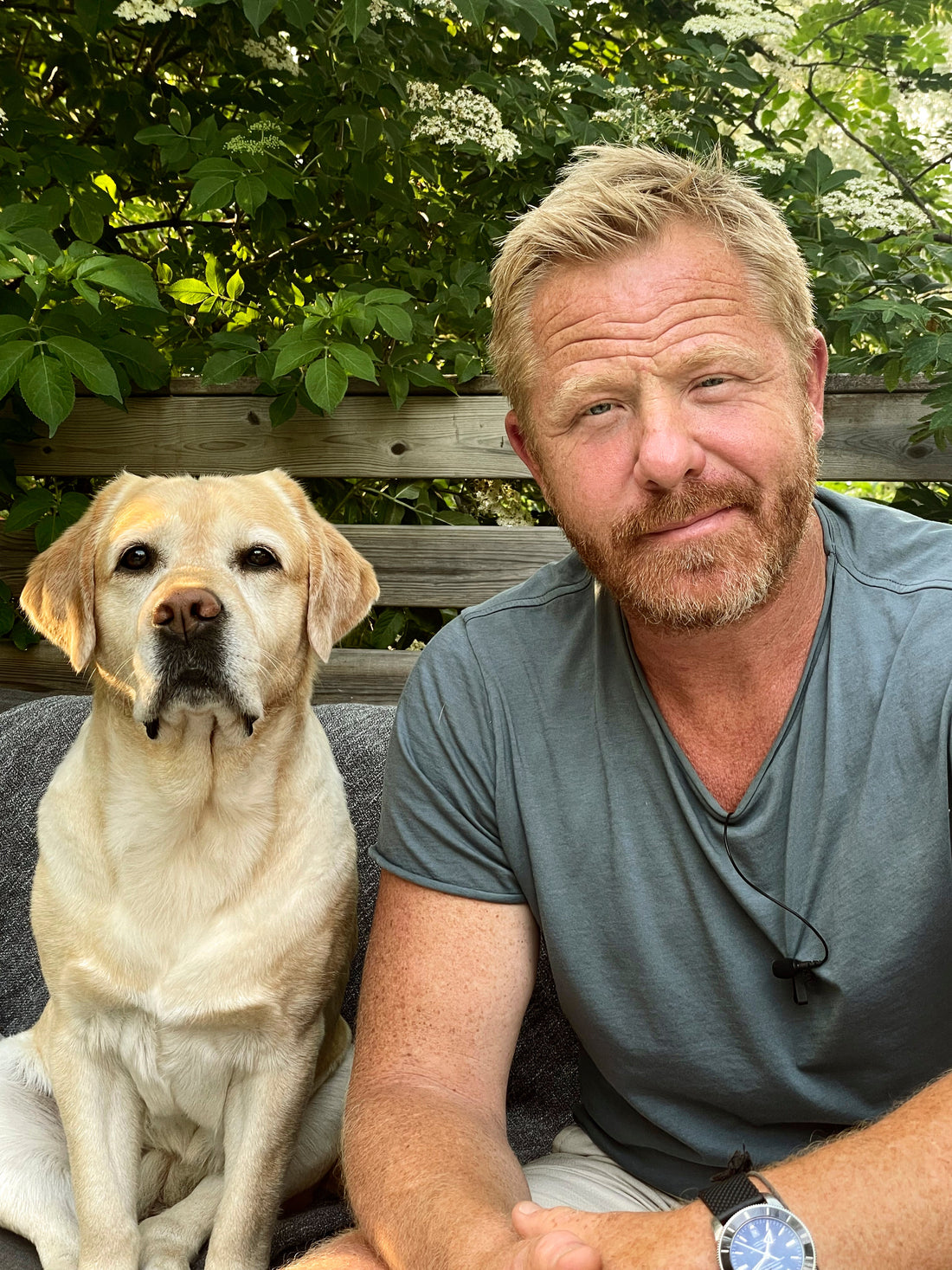 Fredrik Steen