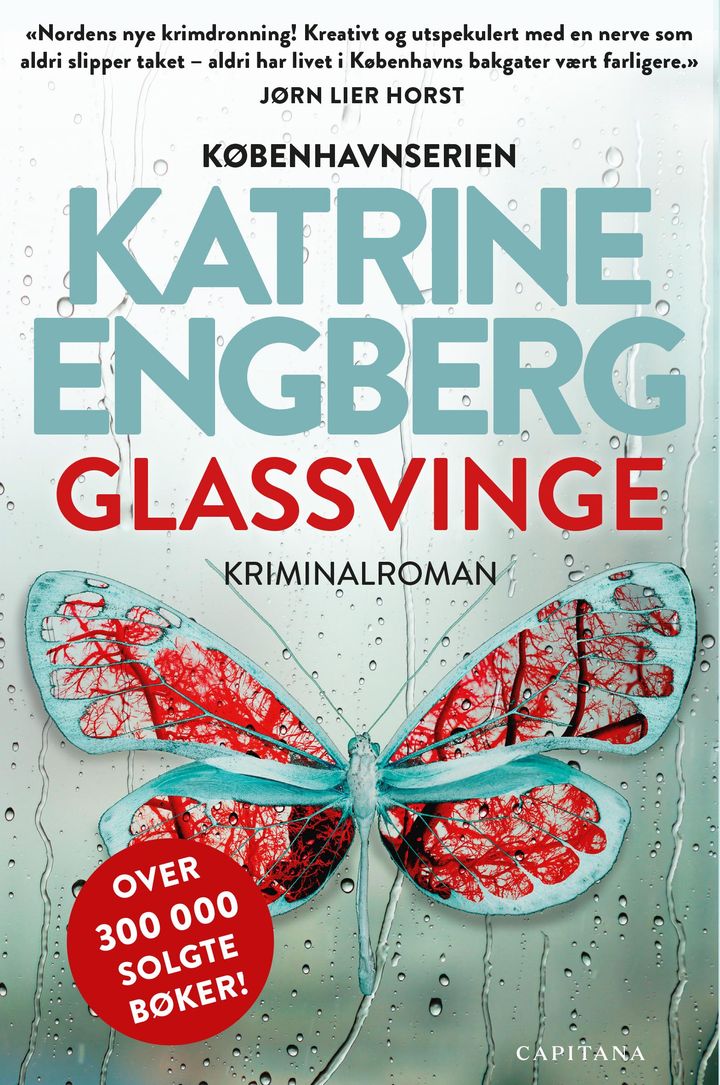 Glassvinge: kriminalroman