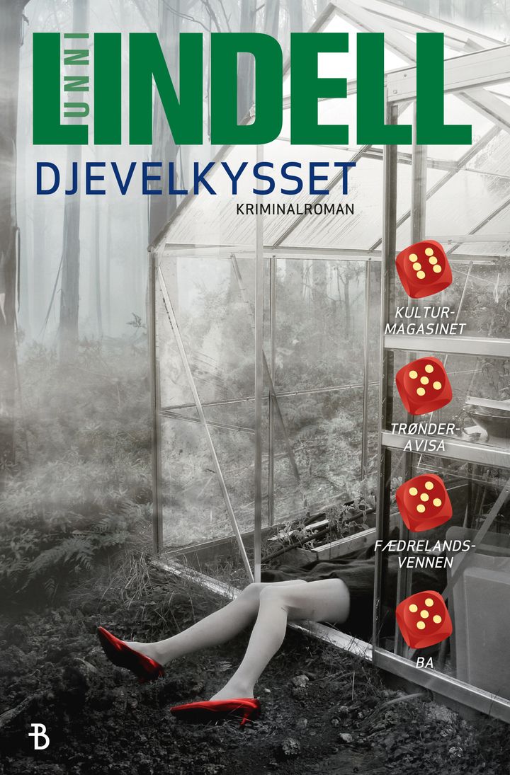 Djevelkysset: kriminalroman